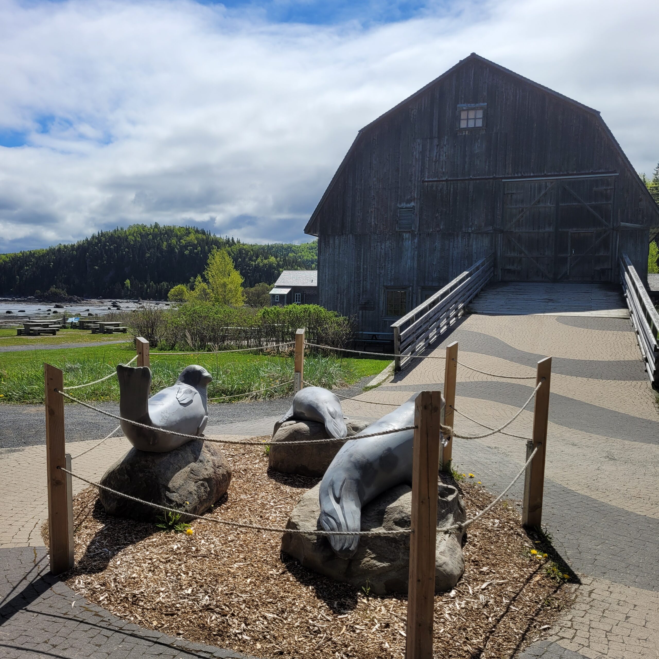 Read more about the article Road Trip au Saguenay (18-26/05)